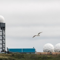Seagull - Tuktoyaktuk NWT